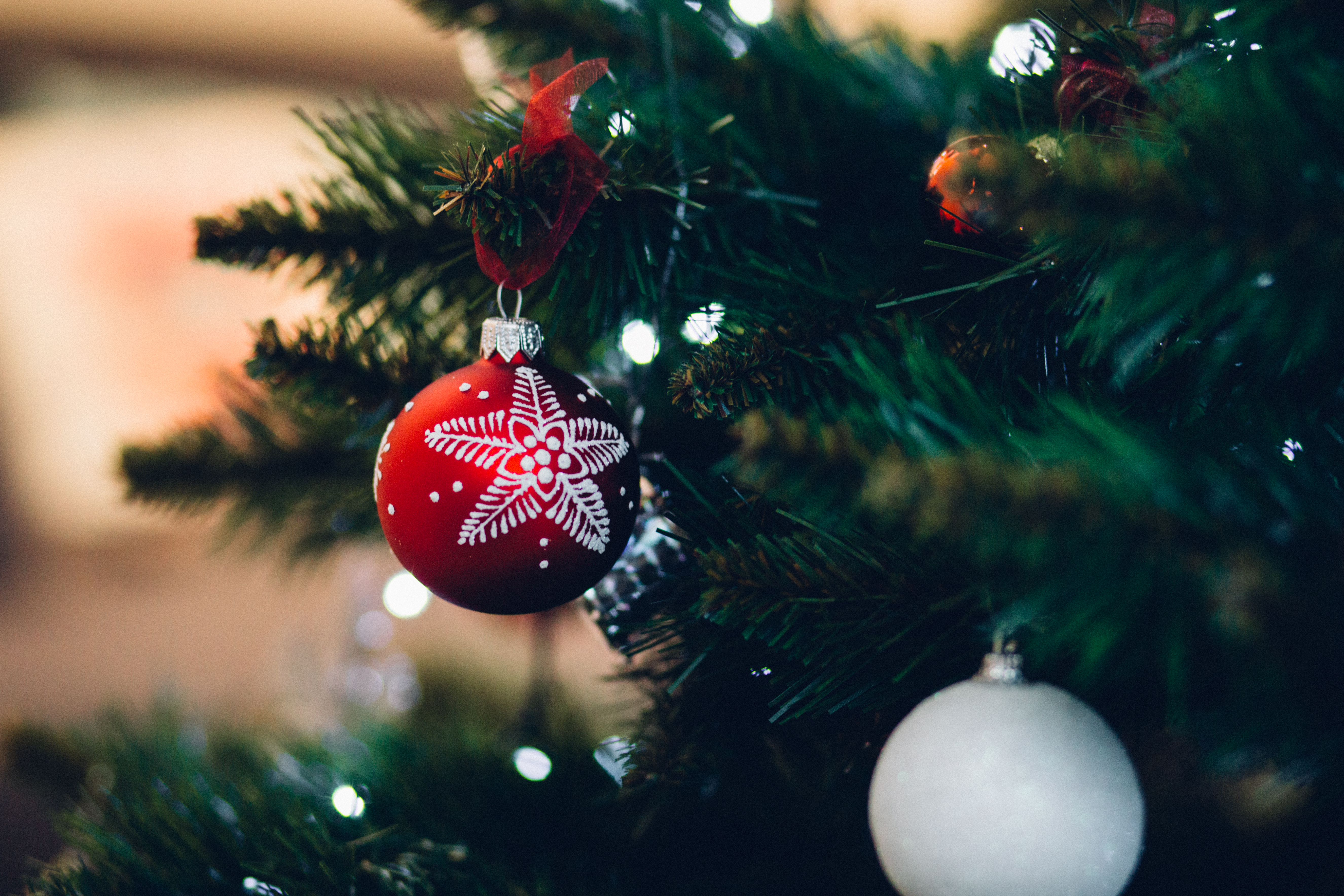 7 Tips to avoid a Christmas Tree Fire